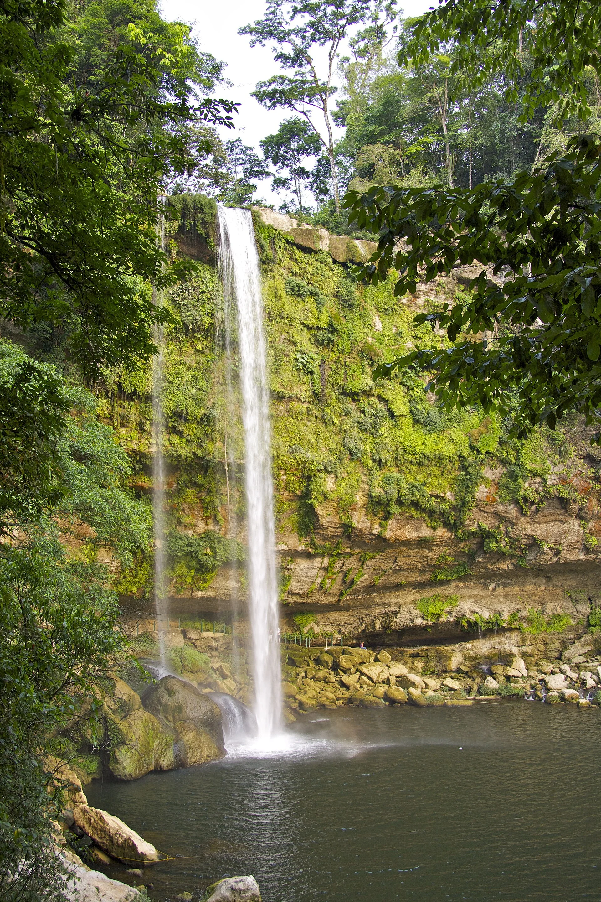 Cascada Misol-Ha en la selva de Chiapas México